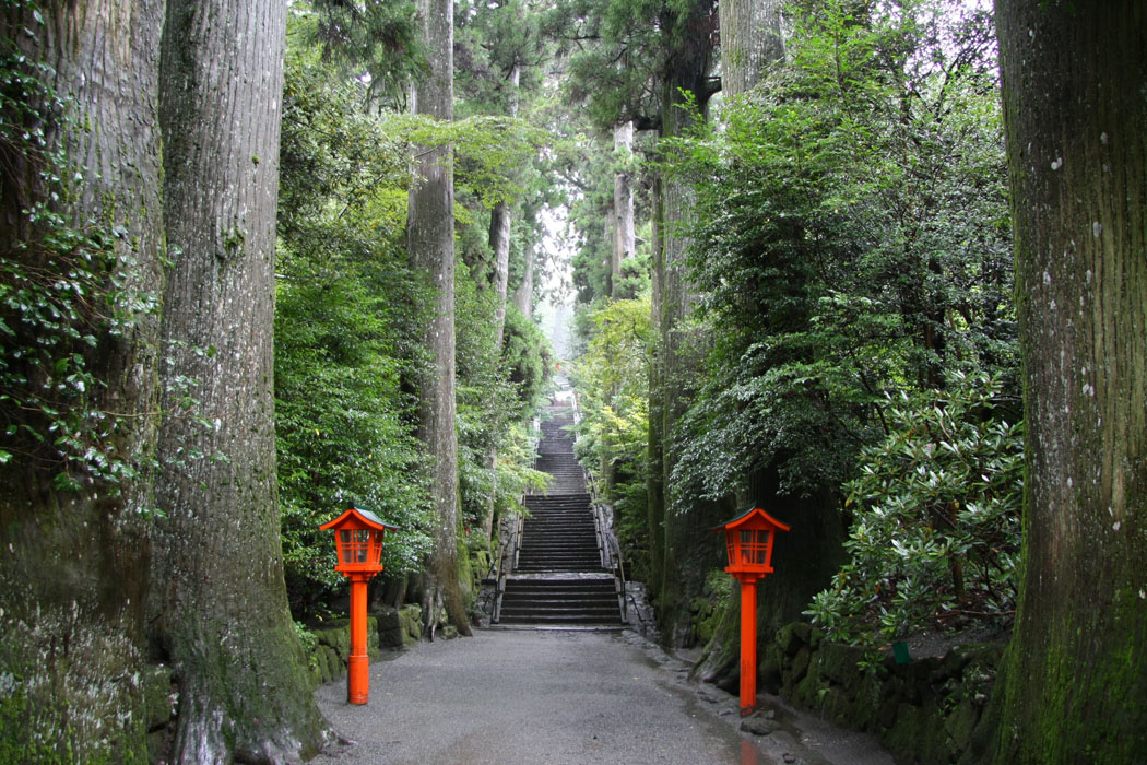 箱根神社の森はうっそうとしていました